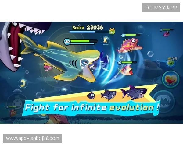 博鱼下载带你进入丰富多彩的游戏世界