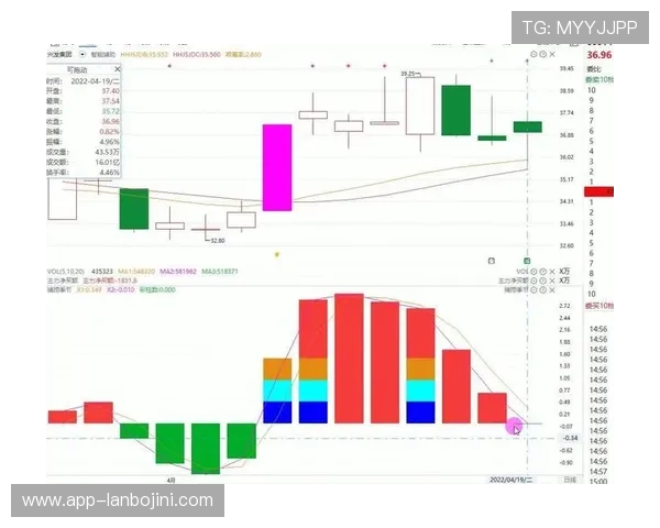 大庄家登录流程详解及常见问题解决方案