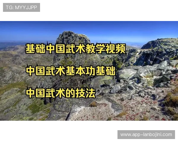 功夫娱乐网：明星功夫训练揭秘与武术技巧的实用教学内容